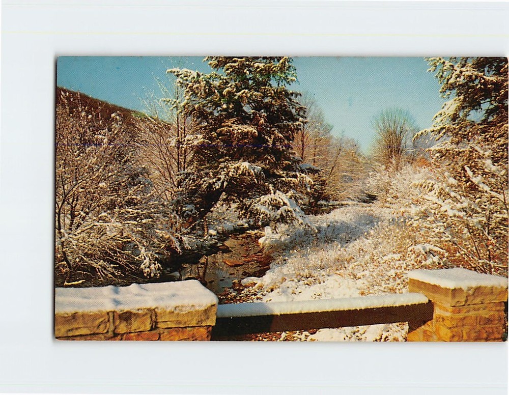 Postcard Winter Nature Scene