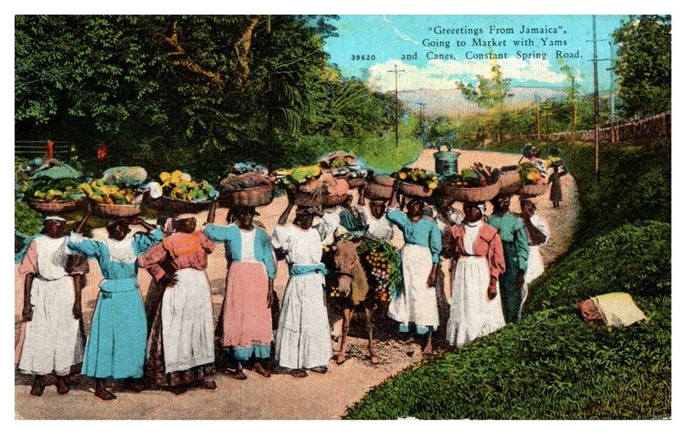 1920s People Going to Market Constant Spring Kingston Jamaica Vintage Postcard