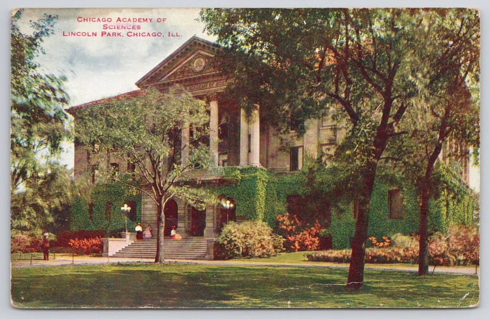 Chicago Academy of Sciences Lincoln Park Illinois Postcard #1359-image