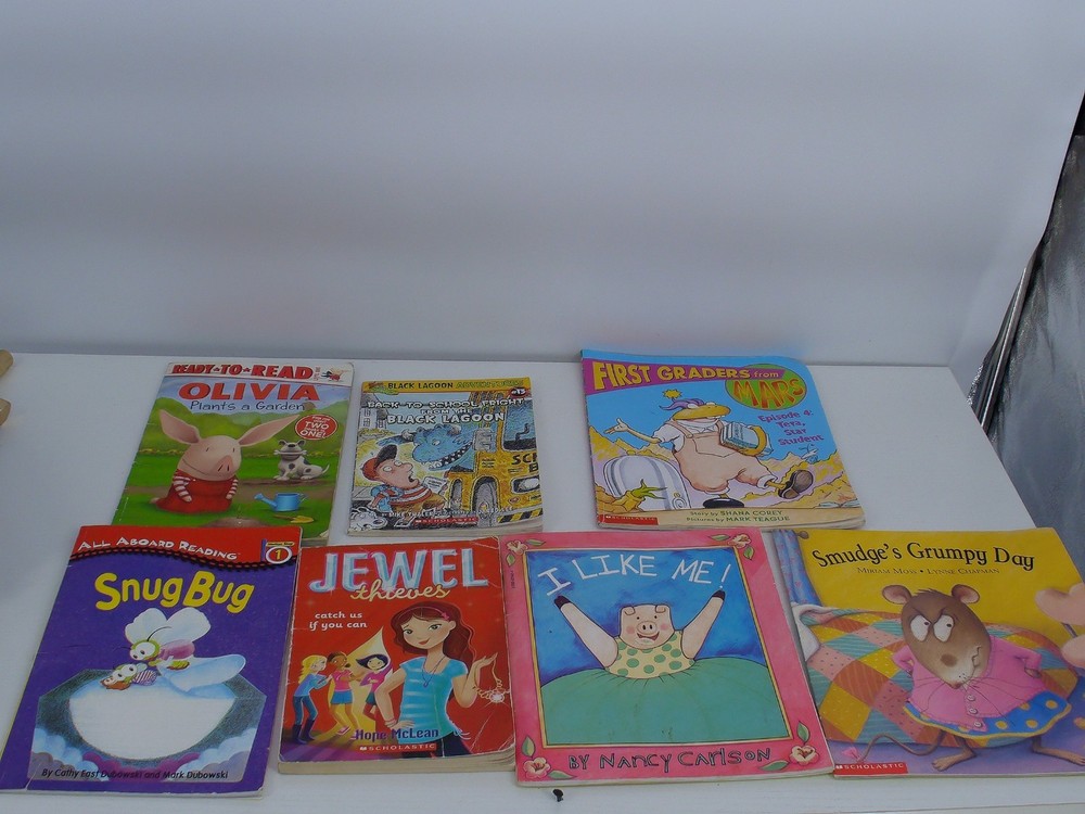 Lot of  books by Scholastic/All Aboard Reading/Ready to Read USED