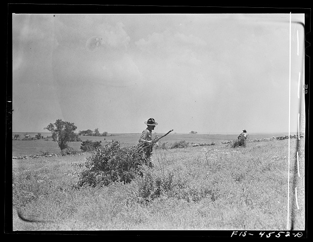 Photo:1930s 1940s Soldiers in Grassland With Rifles Prairie Field