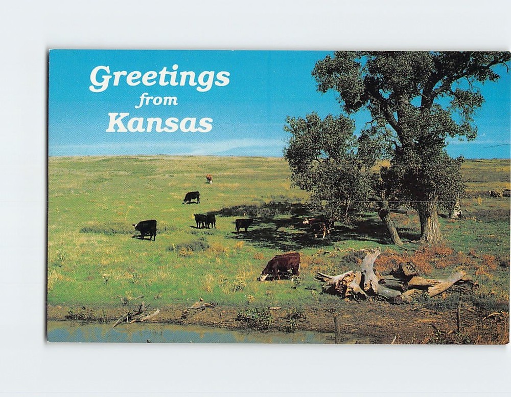 Postcard Greetings form Kansas USA