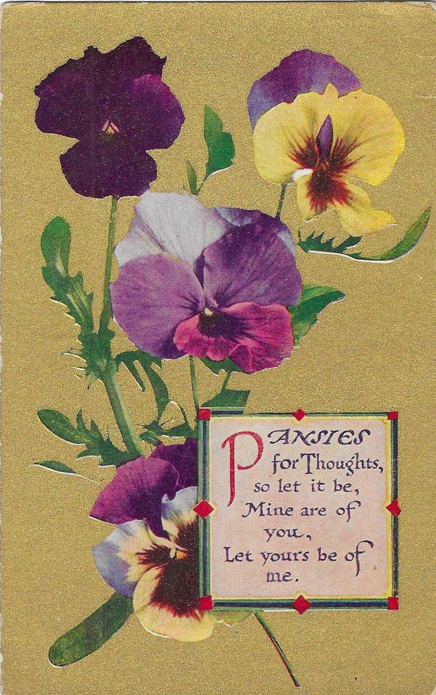 Vintage Greetings Postcard Pansies Flowers Thoughts Mine Are of You