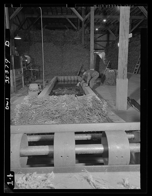 Photo:Salinas Valley California 1942 Guayule Rubber Production Stage