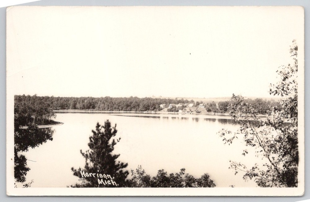 Harrison Michigan RPPC Postcard Lake View Town Scene Vintage Real Photo