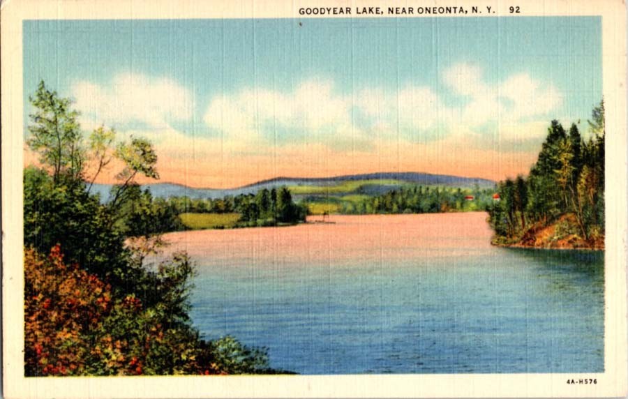 Oneonta New York NY : PANORAMIC SCENE m/14 BA4830