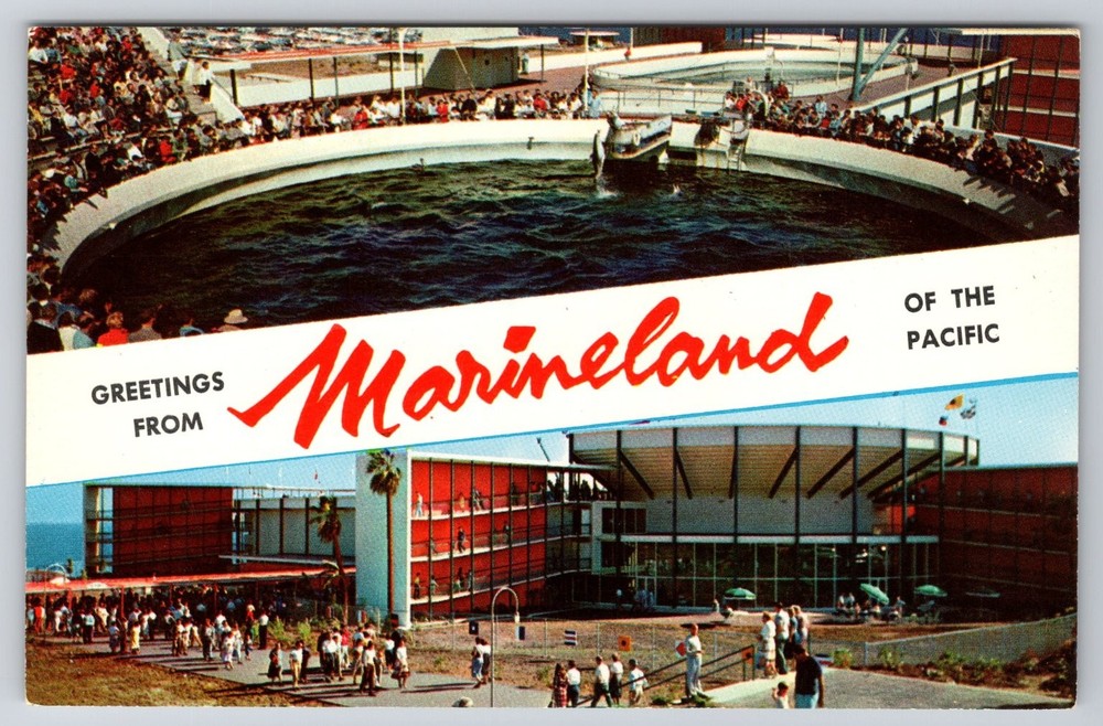 Vintage Marineland of the Pacific Postcard Palos Verdes CA Porpoise Tank