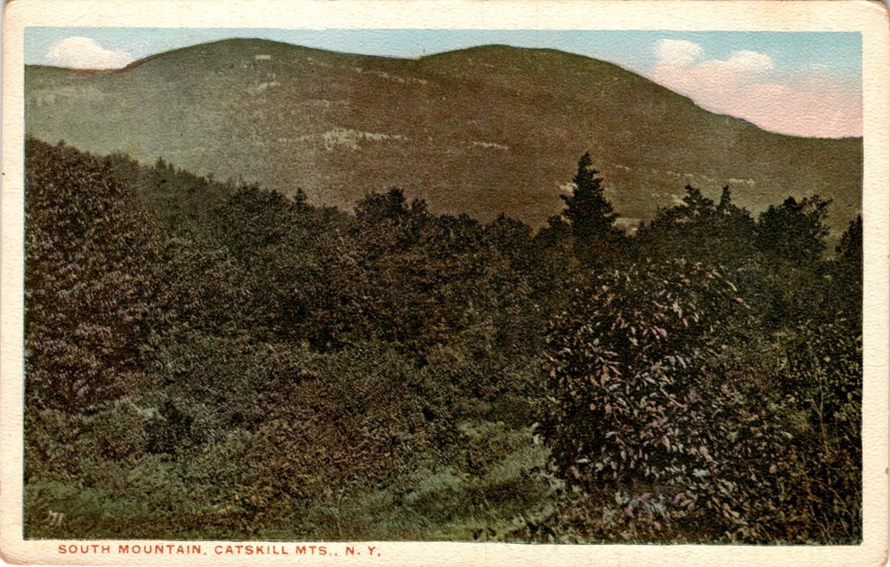 SOUTH MOUNTAIN, CATSKILL MTS, N. Y., The Eagle Post Card Postcard