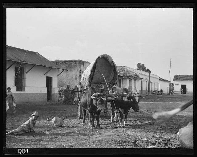 Photo:Cuba 1910s Ox Cart Village Street Scene Travel Views