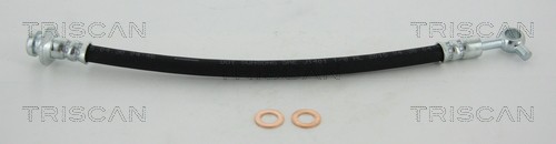 8150 14376 Triscan Brake Hose for Nissan