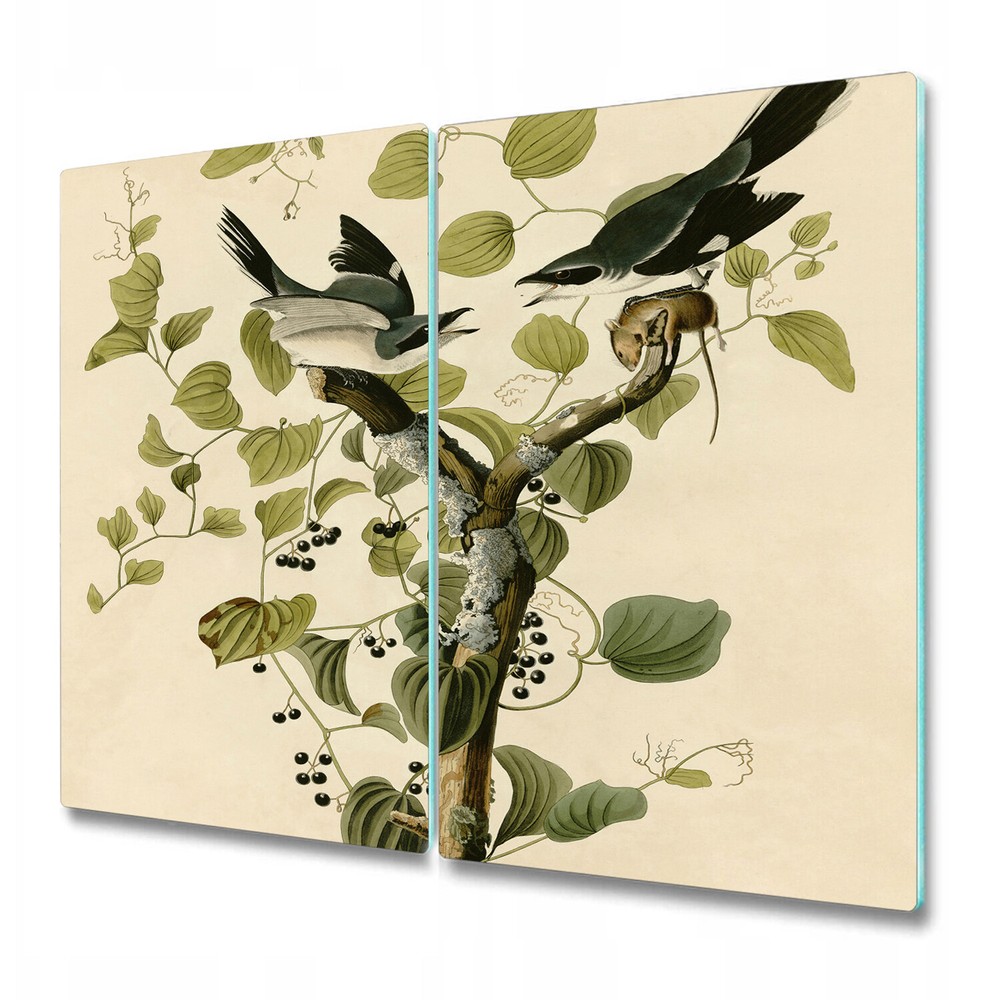Glass Kitchen Chopping Board Worktop Saver Birds on a Branch Art 2x30x52