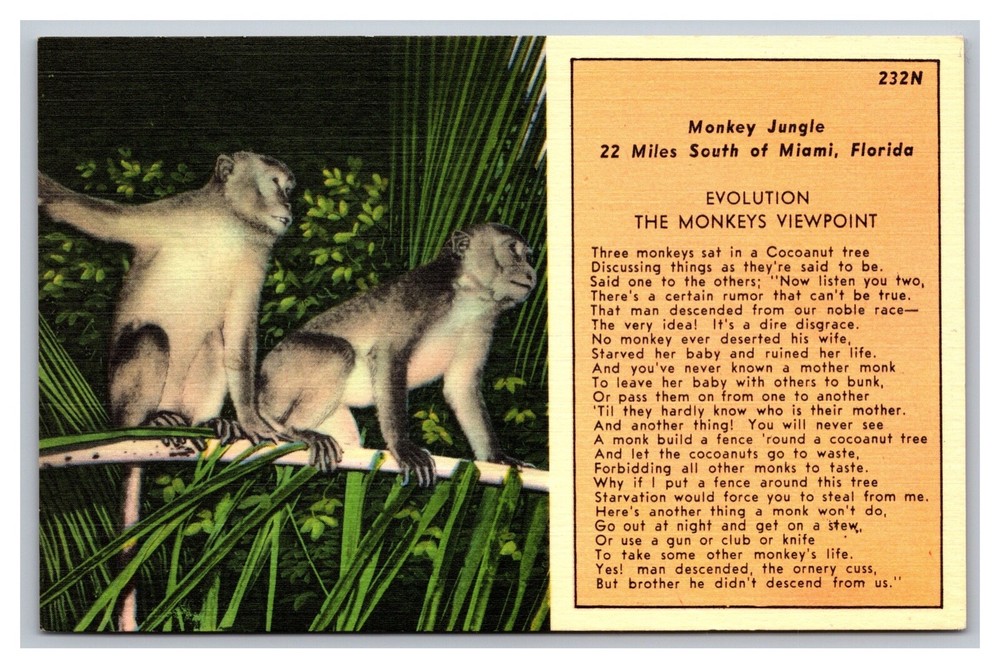 Miami, FL Florida, Monkey Jungle, Monkeys in Palm Trees, 232N, Linen Postcard