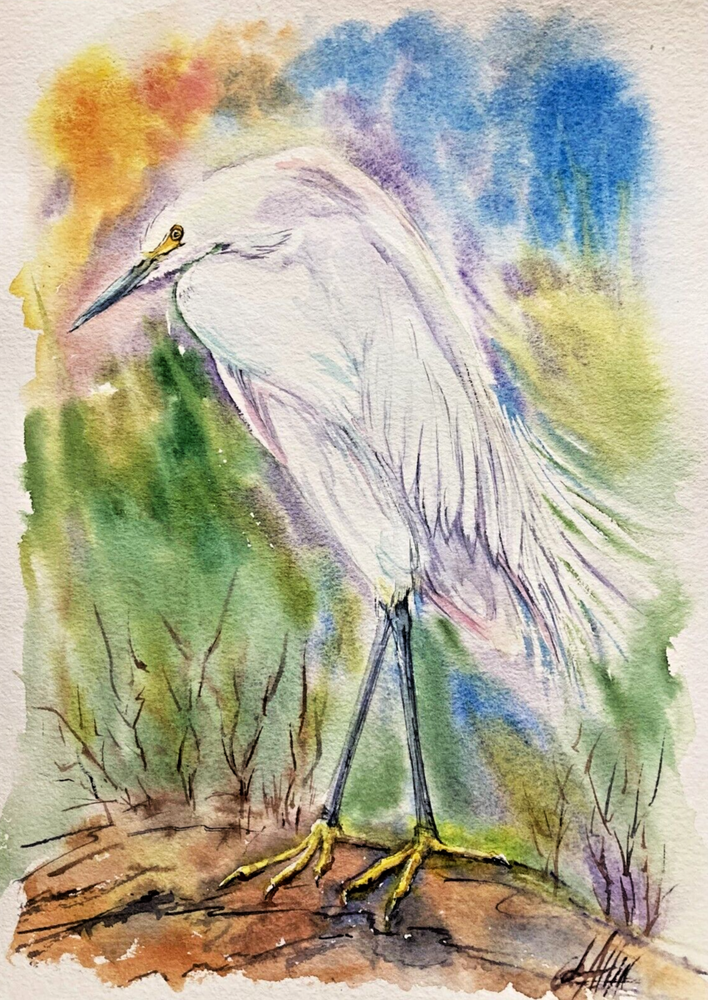 Original Watercolor Painting of a Snowy Egret Bird