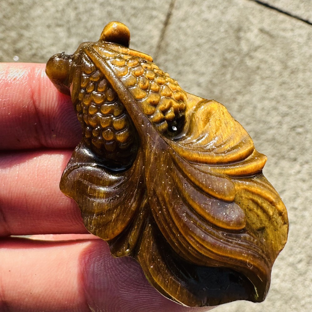 Natural Tiger eye Goldfish Quartz Skull Crystal Specimen Reiki Healing 1PC