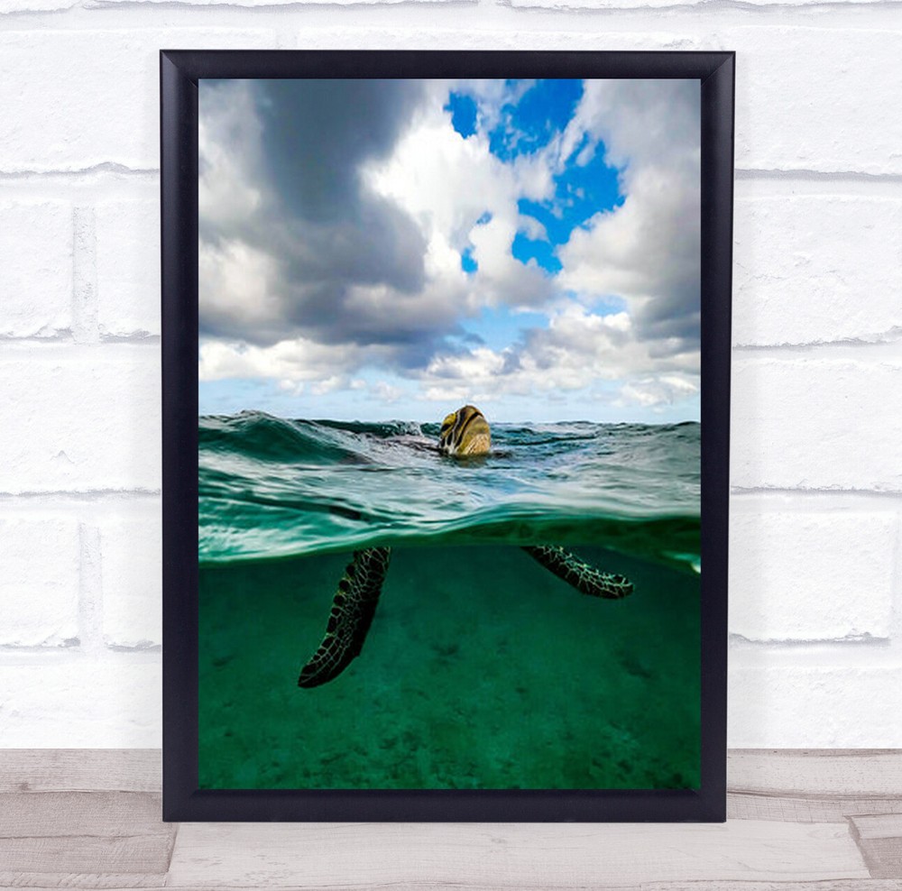 Breath Uw Turtle Sea Turtles Head Wall Art Print