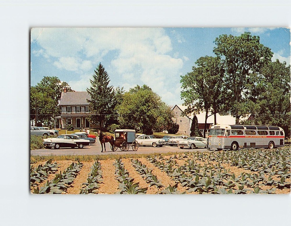 Postcard The Amish Farm and House Pennsylvania USA
