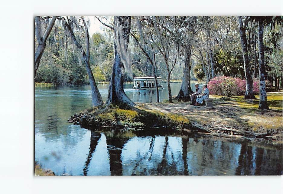 Postcard Glass Bottom Boats Silver River Silver Springs Florida USA