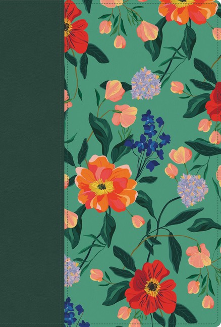 Rvr 1960 Biblia Letra Grande, Tamano Manual, Edicion Especial, Imitation Leather