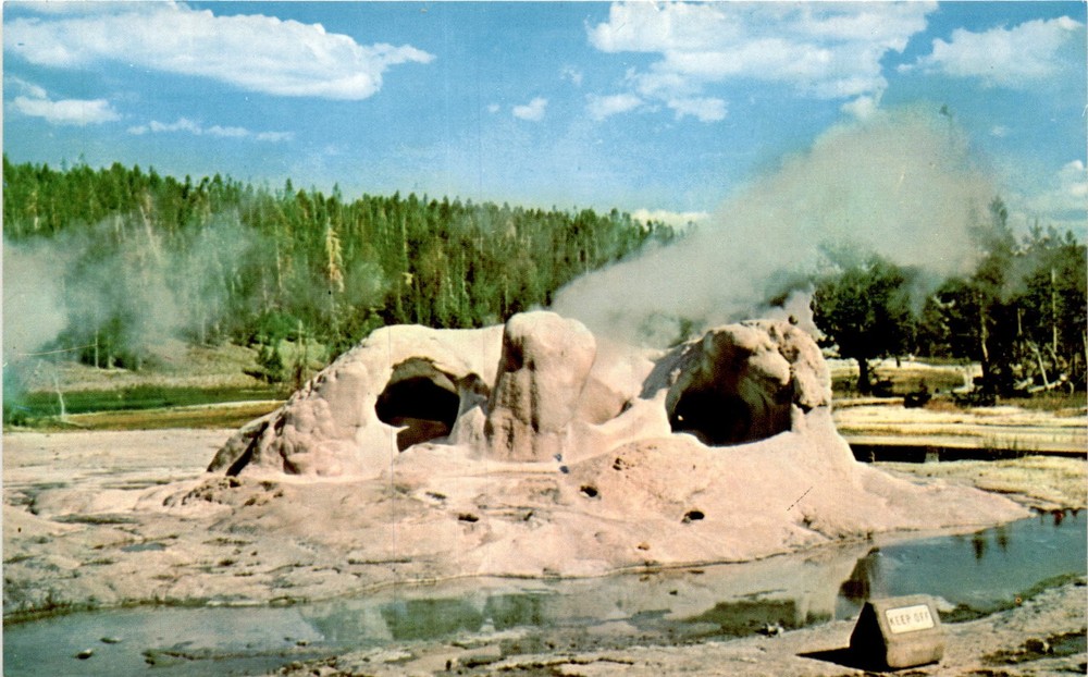 Grotto Geyser, Yellowstone National Park, Upper Geyser Basin, Old Postcard