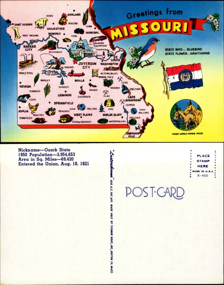 Greetings from Missouri map postcard unused Bluebird flag mules