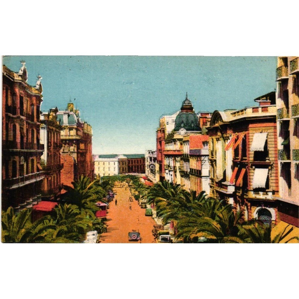 Vintage Oran Algeria Postcard Boulevard Gallieni and Lycee Edition La Cigogne