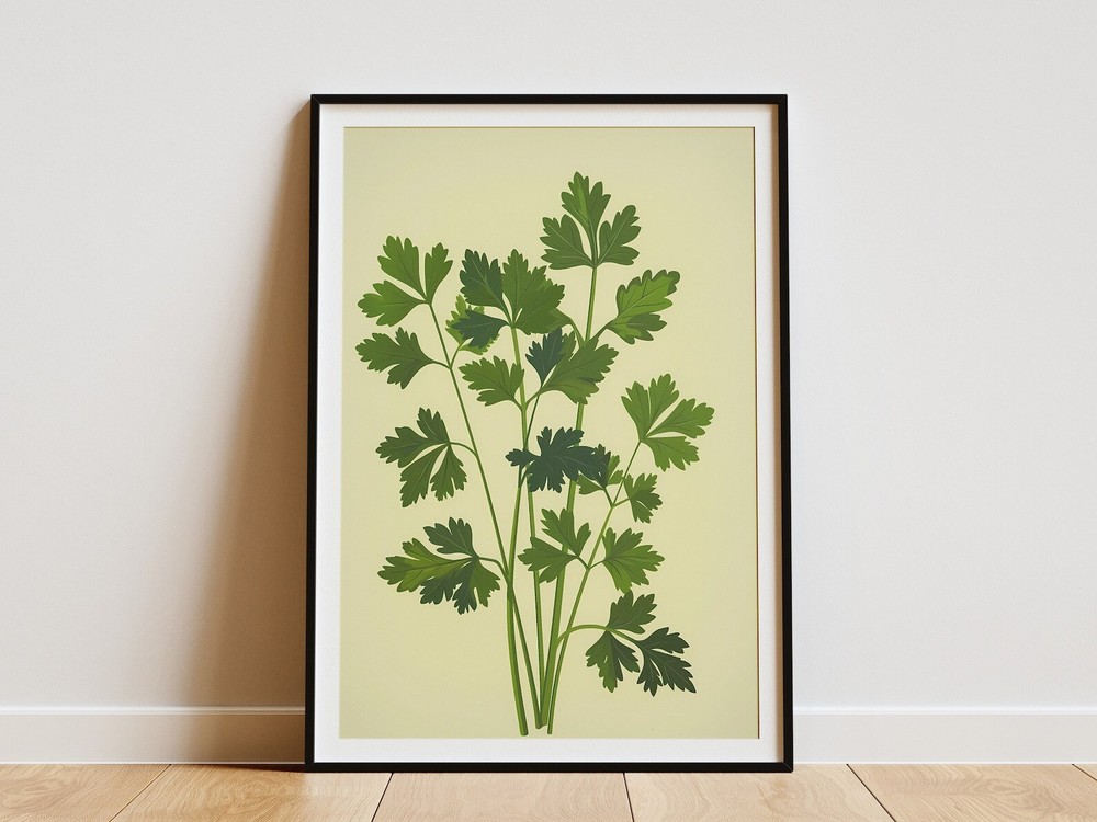 Parsley Botanical Print Kitchen Wall Art Minimalist Plant Poster Green Leaf