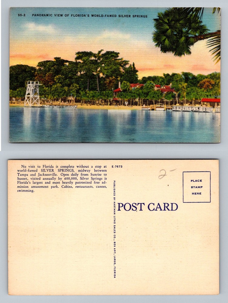 Ocala, FL-Florida,  Panoramic View Of Famous Silver Springs Vintage Postcard