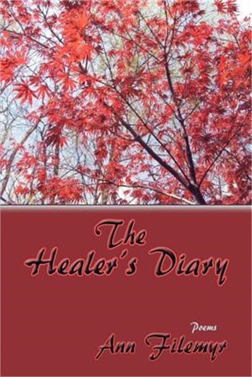The Healer's Diary, Poems (Paperback or Softback)