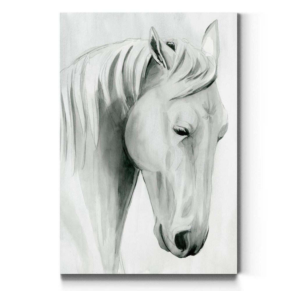Portrait Style Canvas Wall Art: Animals, Dogs, Birds, Fish, Horses, Elk, Deer...