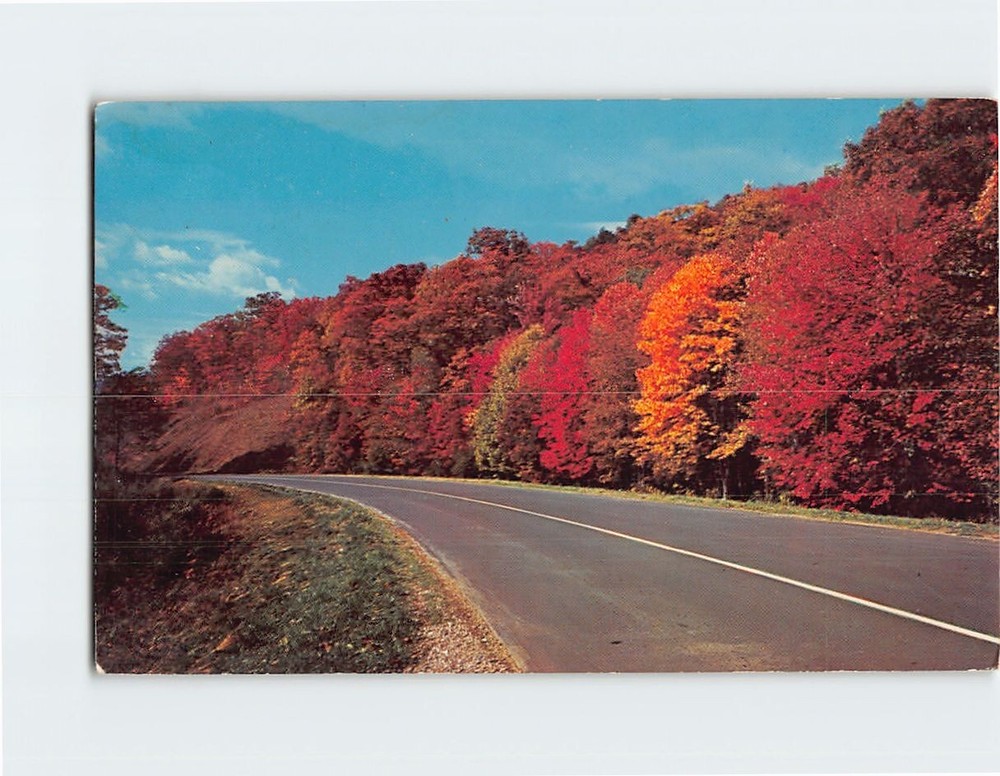 Postcard Autumn Scene Along Blue Ridge Parkway North Carolina USA