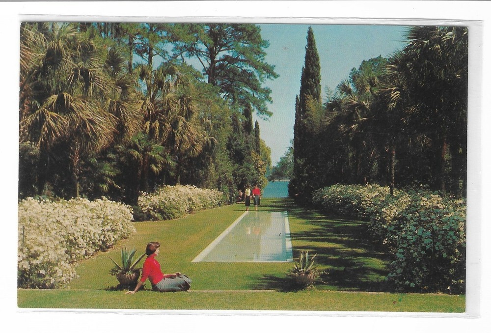 VTG Postcard Reflecting Pool, KILLEARN GARDENS, Tallahassee Florida