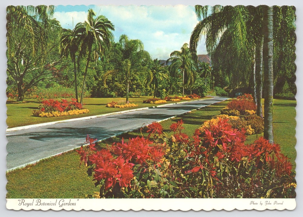 Colors Flood Royal Botanical Gardens @ Hope In Kingston Jamaica~Continental PC