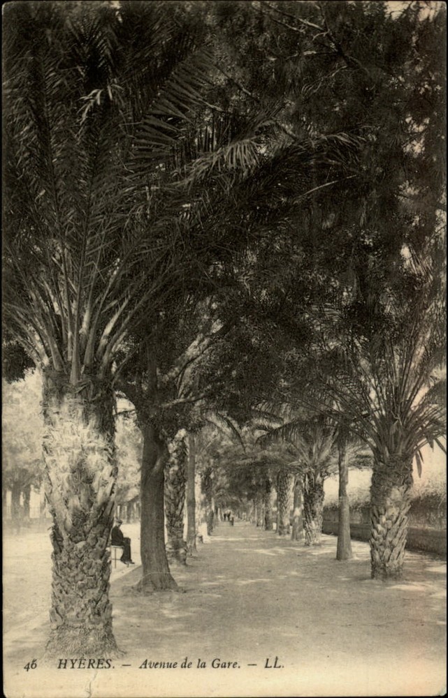 Avenue de la Gare Hyeres Provence France vintage postcard s853