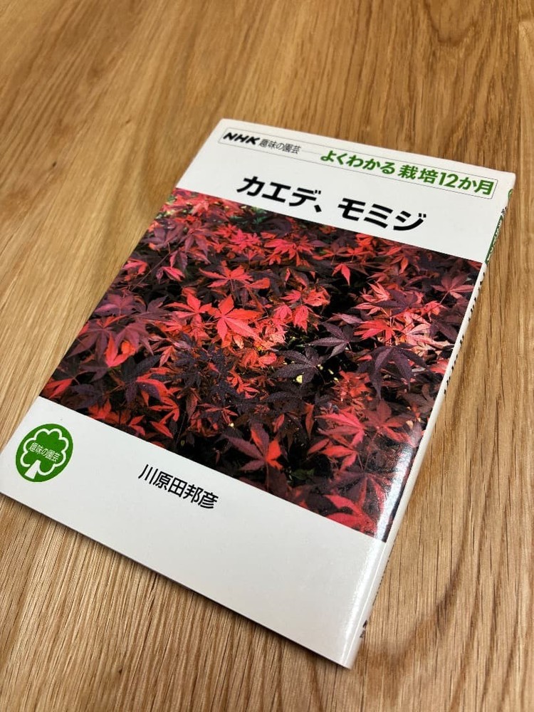 Maple Maple NHK Hobby Gardening 12 Months Cultivation Kawahara Kunihiko