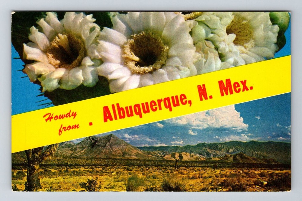 Albuquerque NM-New Mexico, Scenic Banner Greetings, Vintage Postcard