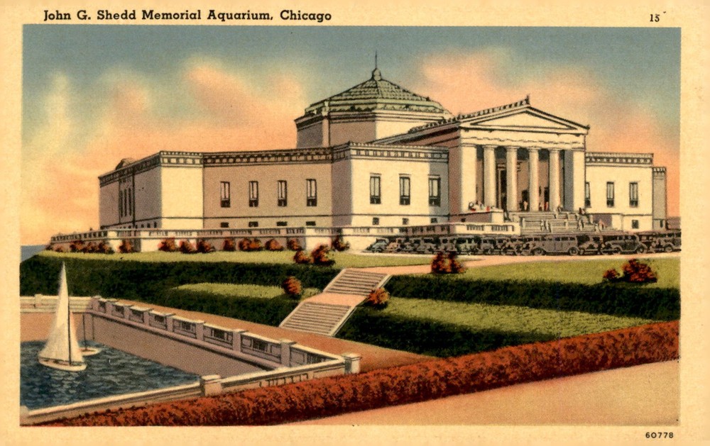 John G. Shedd Memorial Aquarium, Chicago - 1920s Postcard