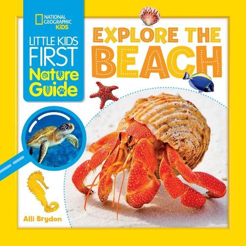 Alli Brydon Explore the Beach (Paperback) Little Kids First Nature GuideAnother great item from Rarewaves USA | Free delivery!