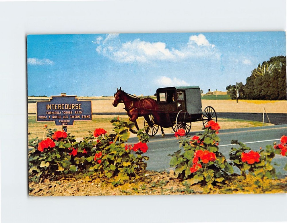 Postcard A Boxlike Amish Family Carriage Greetings from the Amish Country PA USA