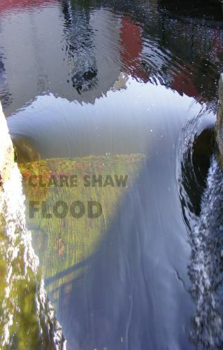 Flood, Paperback by Shaw, Clare, Like New Used, Free shipping in the US