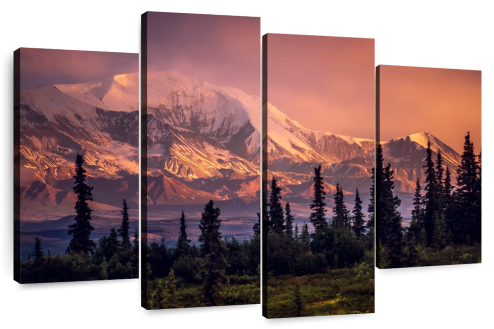 Denali Mountains And Forest Wall Art