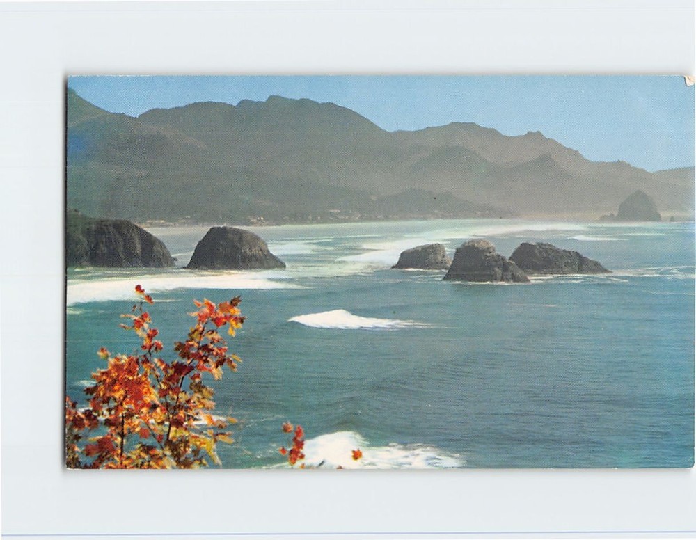 Postcard Beach View Showing Haystack Rock Ecola State Park Oregon USA