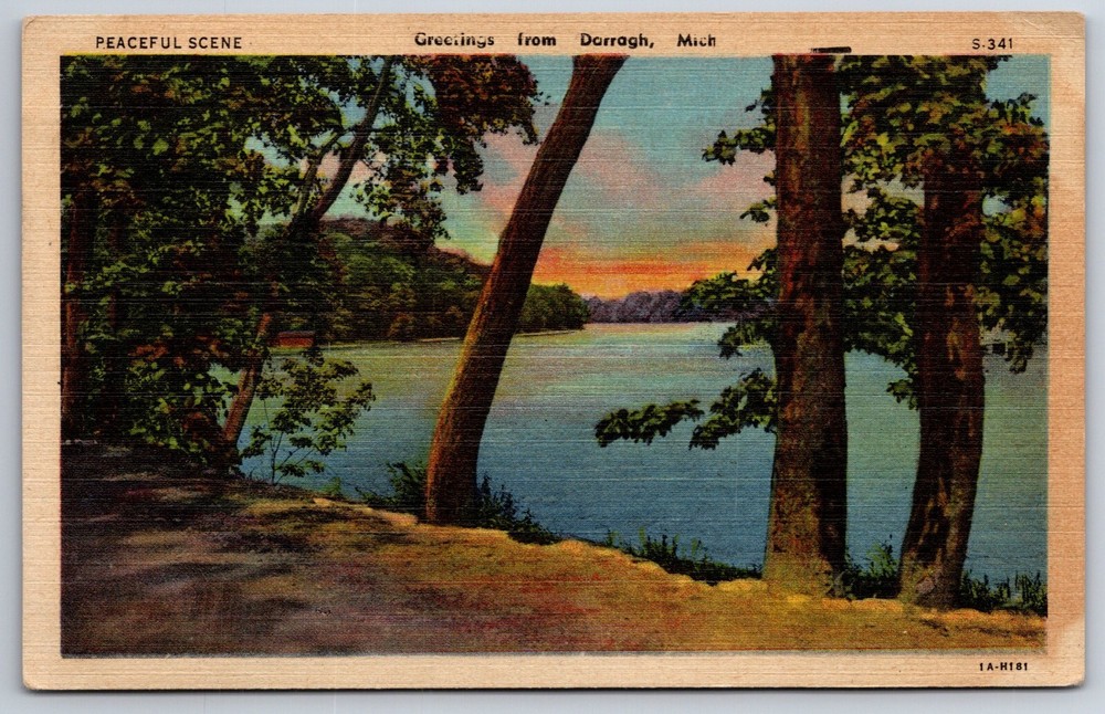 Greetings From Darragh Michigan~Peaceful Lake Shore Scene~Vintage Linen Postcard