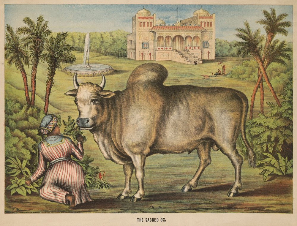9676.Decoration Poster.Room Wall art.Home interior decor.The Sacred Ox.Nature