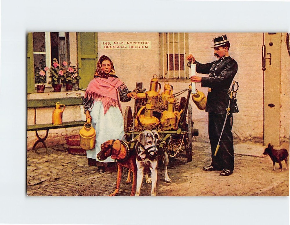 Postcard Milk Inspector Brussels Belgium
