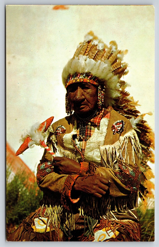 Native Americana Indian~Old Chief In Full Regalia~Vintage Postcard
