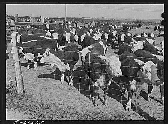 Lincoln,Nebraska,NE,Lancaster County,Farm Security Administration,1941,FSA,1
