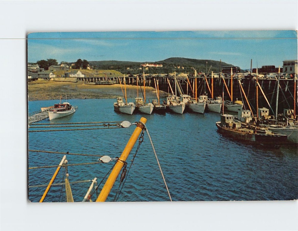 Postcard The Famous Digby Scallop Fleet Nova Scotia Canada