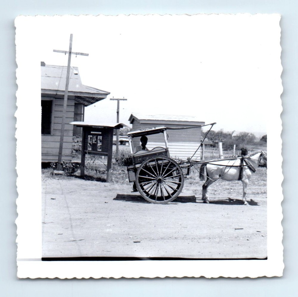Old Vintage Square Photo SOLO MAN HORSE DRAWN VENDOR CART SNAPSHOT PIC