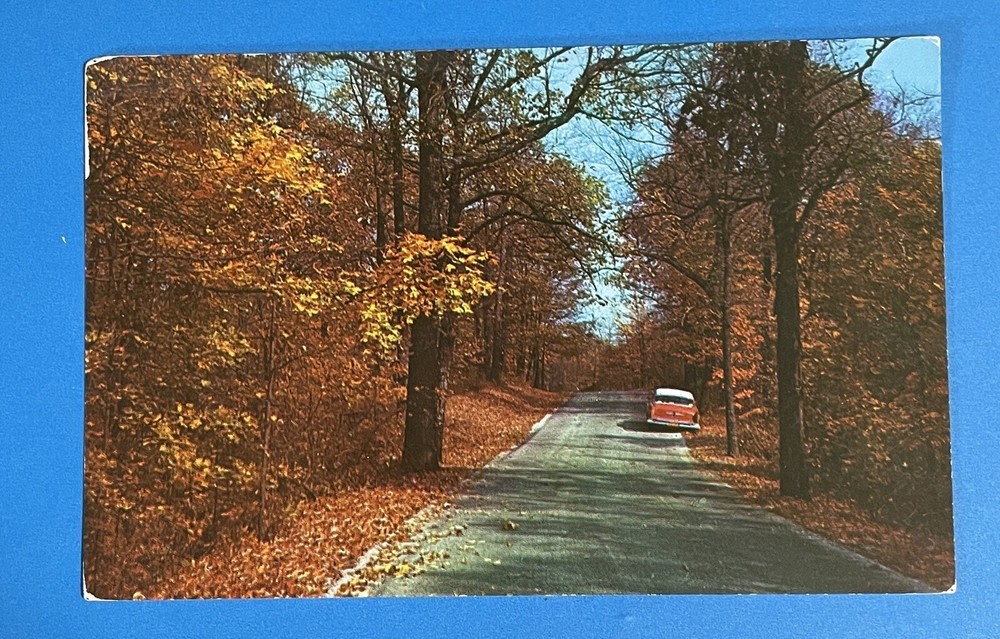 NASHVILLE Indiana Brown County State Park Road Entrance Old Car Vintage Postcard