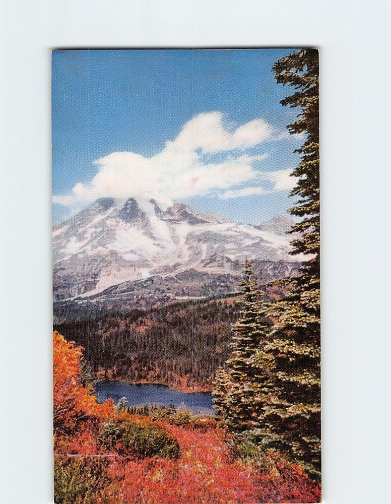 Postcard Mount Rainier Washington USA North America